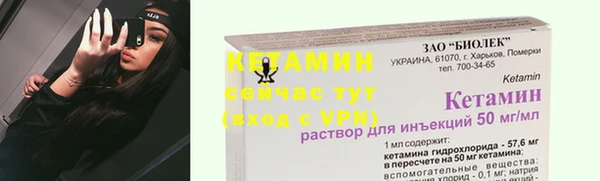прущие грибы Весьегонск