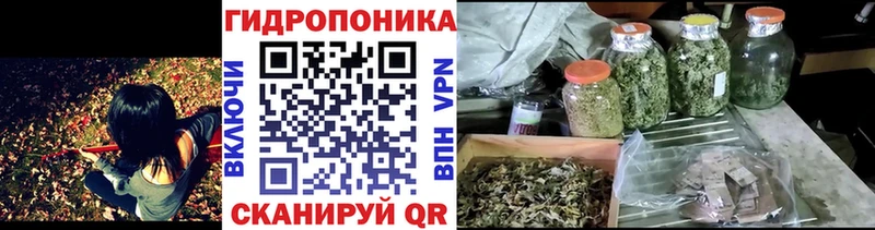 Марихуана ГИДРОПОН мориарти как зайти Иланский купить